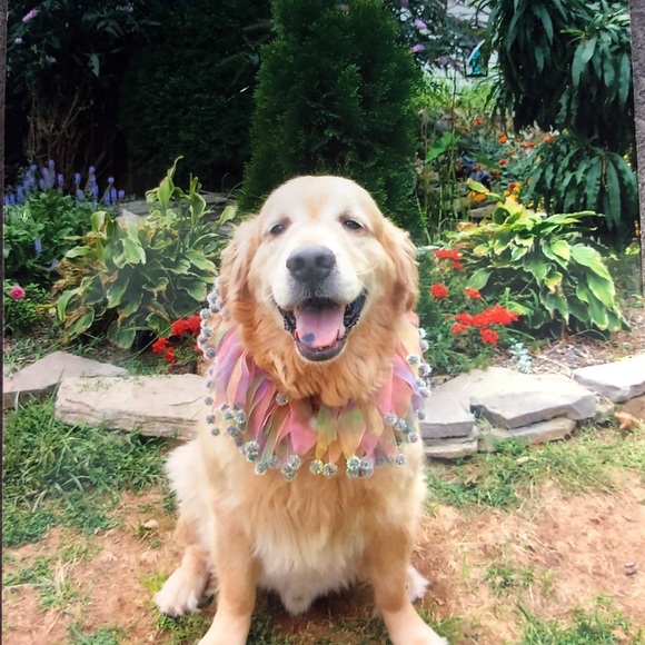 Meet your Posher, Lori. Posh Ambassador April 2019 - Picture 8 of 8